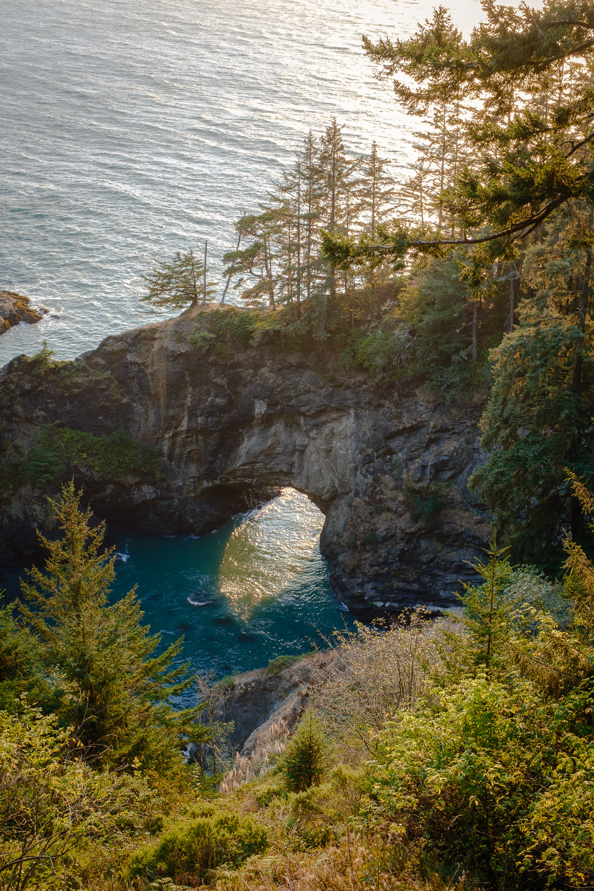 Pacific Northwest Road Trip photo titled Pacific Coast 19